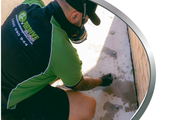 Construction Pest Control