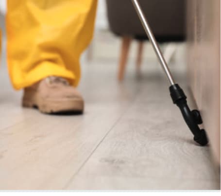 Active Pest Control Management 