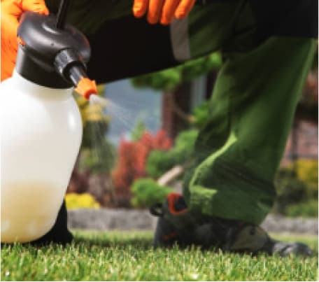 Active Pest Control Management