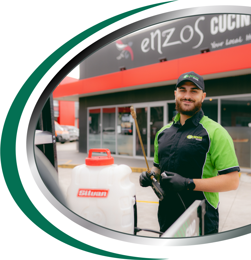 Real Estate Pest Control Sydney