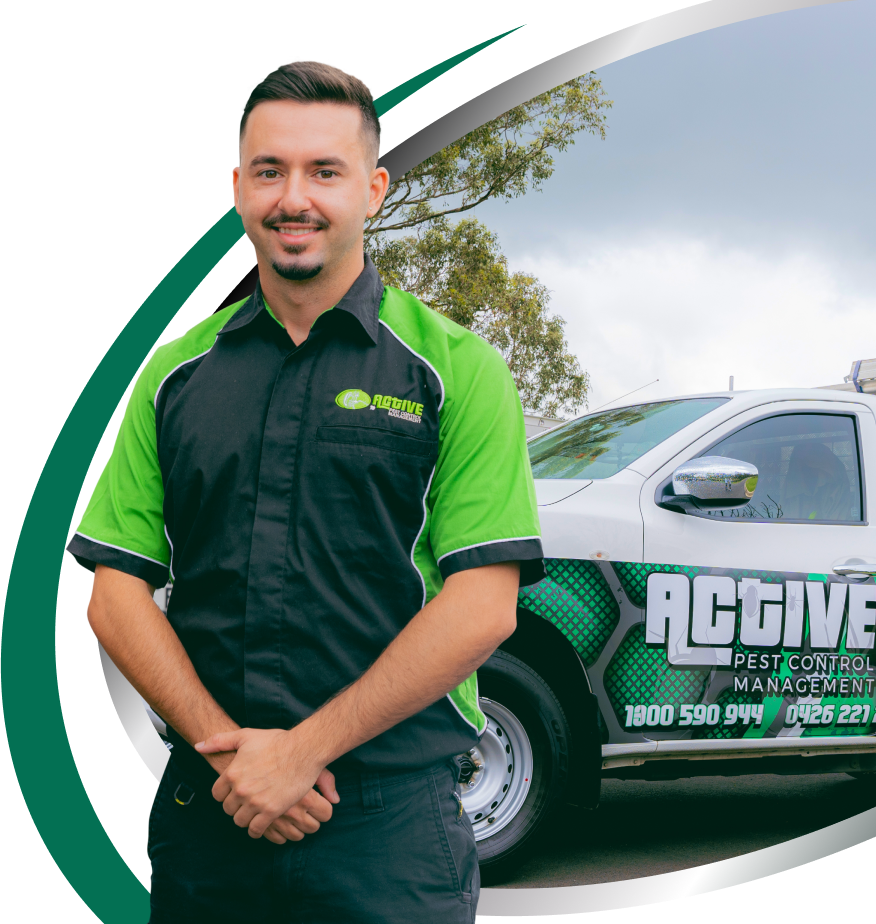 Silverfish Pest Control Sydney